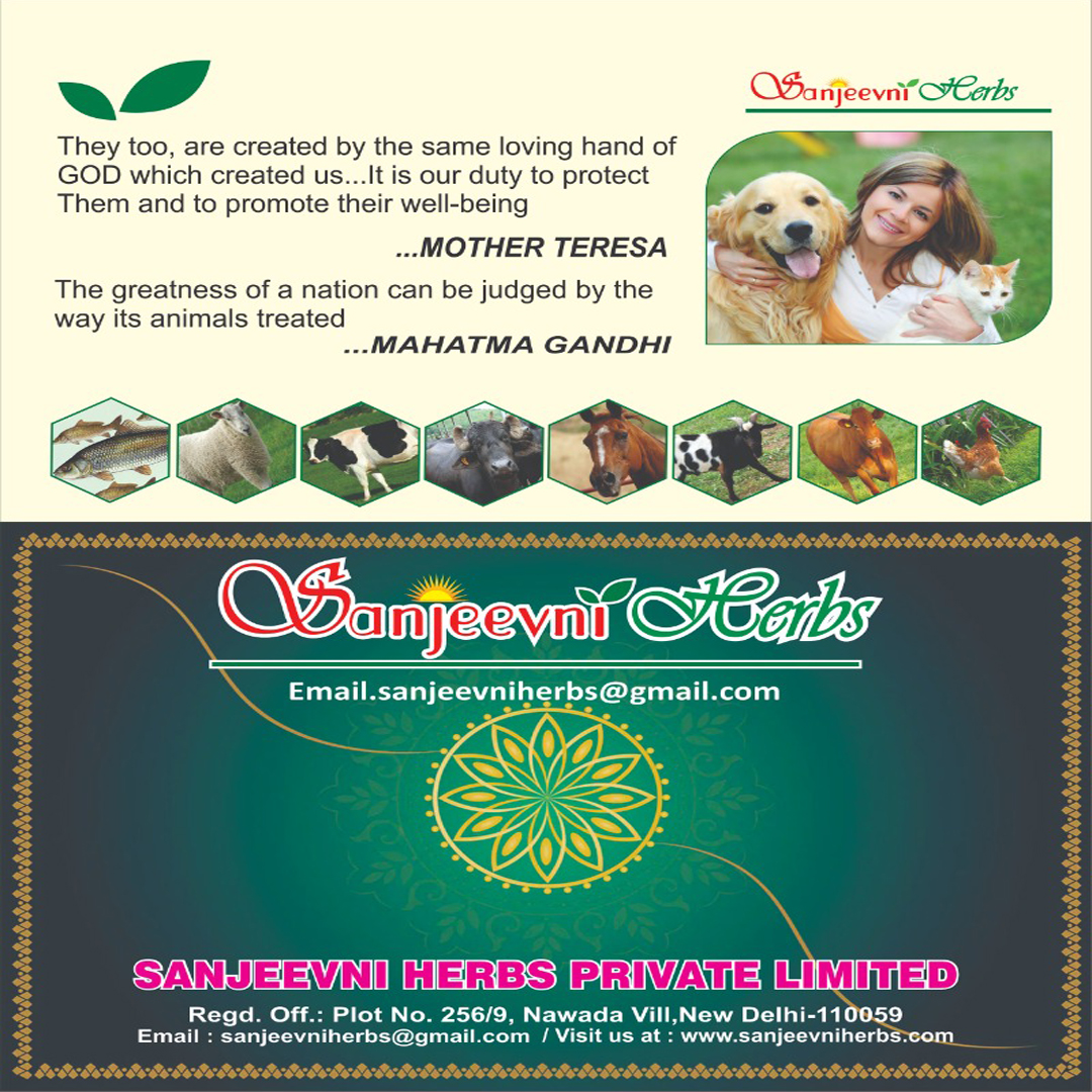 Order Online