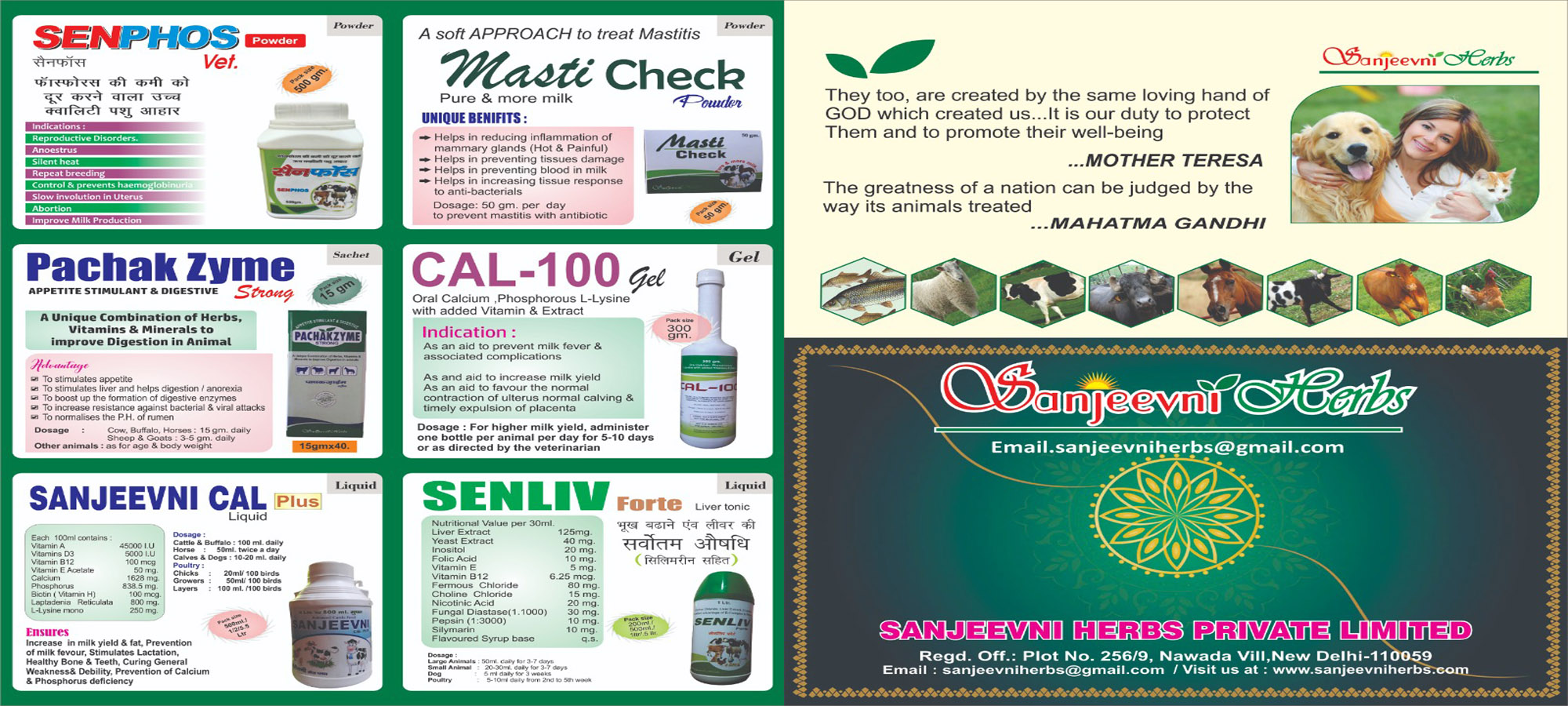 CG Food Bazar